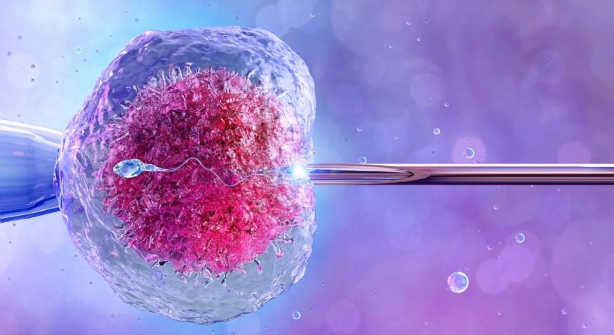 Insurance Covers IVF in India?